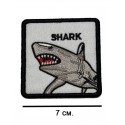 Aplicație pentru haine rupte Shark