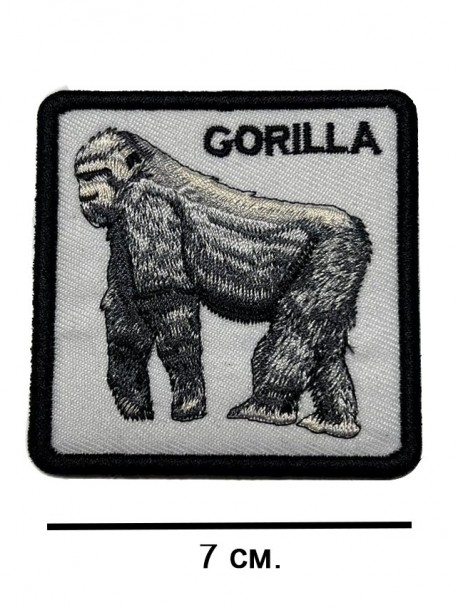Апликация Gorilla